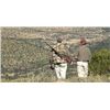 Image 1 : SOUTH AFRICA - PLAINS GAME SAFARI FOR ONE OR TWO HUNTERS