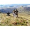 Image 3 : SOUTH AFRICA - PLAINS GAME SAFARI FOR ONE OR TWO HUNTERS