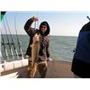 Image 2 : MICHIGAN/OHIO - HALF DAY WALLEYE FISHING CHARTER FOR 4 ANGLERS