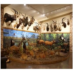 $1000 GIFT CERTIFICATE TOWARDS WILD ROOMS TROPHY ROOM