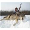 Image 1 : ONTARIO - 7 NIGHT/6 DAY TROPHY WOLF HUNT FOR 1 HUNTER