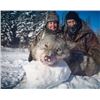 Image 2 : ONTARIO - 7 NIGHT/6 DAY TROPHY WOLF HUNT FOR 1 HUNTER