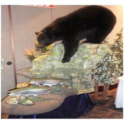 $500 GIFT CERTIFICATE FOR TAXIDERMY WORK