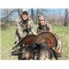 Image 2 : KANSAS - 2 DAYS/3 NIGHTS EASTERN WILD TURKEY HUNT FOR 2 HUNTERS