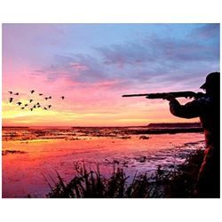 MARYLAND - TWO DAY WATERFOWL HUNT FOR FOUR HUNTERS
