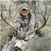 Image 2 : ARIZONA - 5 DAY MULE DEER HUNT FOR 1 HUNTER