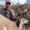 Image 3 : ARIZONA - 5 DAY MULE DEER HUNT FOR 1 HUNTER