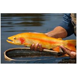 OHIO - 3 DAY FISHING TRIP FOR 8 AT BRIARWOOD SPORTING CLUB