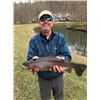Image 2 : OHIO - 3 DAY FISHING TRIP FOR 8 AT BRIARWOOD SPORTING CLUB