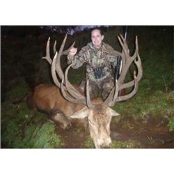 NEW ZEALAND - 5 DAY 2X1 RED STAG & FALLOW STAG HUNT FOR 2 HUNTERS