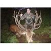 Image 3 : NEW ZEALAND - 5 DAY 2X1 RED STAG & FALLOW STAG HUNT FOR 2 HUNTERS