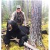 Image 2 : SASKATCHEWAN – BLACK BEAR HUNT OVER BAIT FOR ONE HUNTER