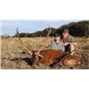 Image 1 : ARGENTINA - 5 DAY RED STAG HUNT FOR 1 HUNTER