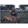 Image 3 : ARGENTINA - 5 DAY RED STAG HUNT FOR 1 HUNTER