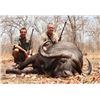 Image 2 : MOZAMBIQUE - CAPE BUFFALO AND NILE CROCODILE HUNT FOR 2 HUNTERS