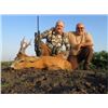Image 2 : SERBIA - ROE DEER HUNT FOR 2 HUNTERS