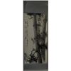 Image 1 : A Chinese Ink Painting "Bamboo".