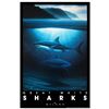 Image 1 : Great White Sharks by Wyland