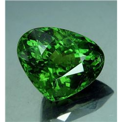 Natural Green Apatite 6.02 Carats - Untreated