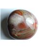 Image 1 : Natural Healing Colorful Petrified Wood 990 Carats