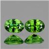 Image 1 : Natural AAA Premium Green Demantoid Pair 5 MM - FL