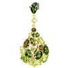 Image 1 : NATURAL CH-DIOPSIDE PERIDOT TOURMALINE Pendant