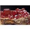 Image 4 : Natural VANADINITE - lustrous Crystals on Matrix