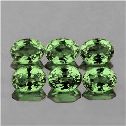 Natural Green Sapphire (6 Pcs) 5x4 MM - FL