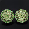 Image 1 : NATURAL GREEN CHROME & GREEN PERIDOT Earrings