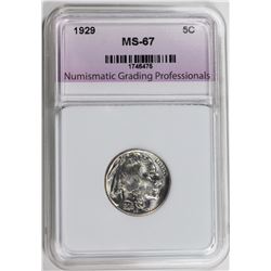 1929 BUFFALO NICKEL NGP SUPERB BU+