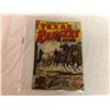 Image 1 : CHARLTON PUBLICATION - THE TEXAS RANGERS IN ACTION - NO. 6