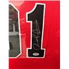 Image 2 : Dennis Rodman Signed Bulls Jersey 32" x 30" Framed Display (PSA COA)