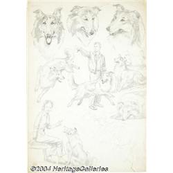 Jack Abel (attributed) - Lassie Sketches Original Art (Dell, ca. 1957).