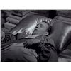 Image 10 : Bing Crosby Road to Morocco Movie Costumes
