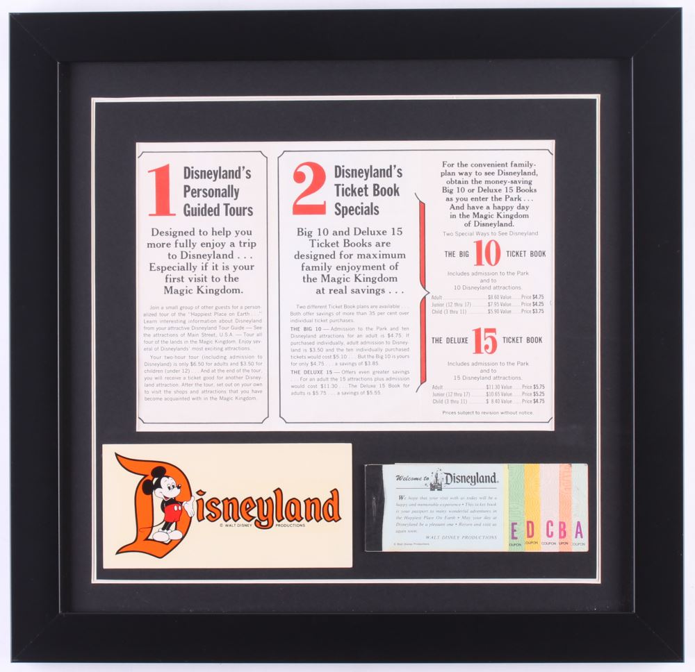 disneyland 15 5x16 custom framed pamphlet display with ticket booklet