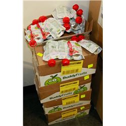 9 CASES OF BUDDY FRUITS APPLE/ STRAWBERRY FLAVOUR