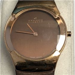 42) SKAGEN DENMARK BROWN WATCH WORKING