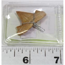 21) REAL SHARK TEETH