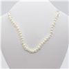 Image 1 : 114) STERLING SILVER FRESHWATER PEARL NECKLACE