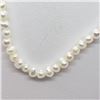 Image 2 : 114) STERLING SILVER FRESHWATER PEARL NECKLACE