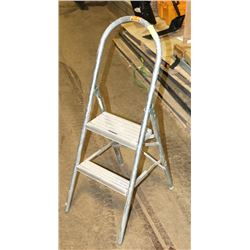 WEIRD ZONE STEP LADDER