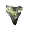 Image 1 : 5 1/4" Mottled Black/Brown/White Root and Enamel