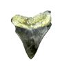 Image 2 : 5 1/4" Mottled Black/Brown/White Root and Enamel