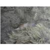 Image 2 : Mammoth Wild West Buffalo Skin Rug