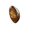 Image 2 : 38.85 Cts Yowah Opal - High Gloss Aaa+ Polish Stone
