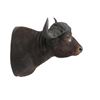 Image 1 : Water Buffalo Shoulder Trophy Mount. Height 36"; Horns 36"
