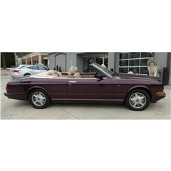 Fabulous Bentley Convertible, Minty, Rare Custom Wine Paint, Loaded, 1997 Azure