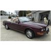 Image 5 : Fabulous Bentley Convertible, Minty, Rare Custom Wine Paint, Loaded, 1997 Azure