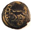 Image 2 : Bronze "zoo" coin of Gallienus (253-265 A.D.)