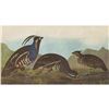 Image 1 : c1946 Audubon Print, #423 Mountain Quail